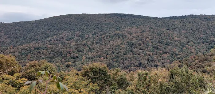 Stan Murray Shelter - Appalachian Trail 3