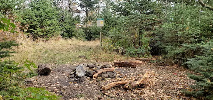 Briar Patch Campsite 0