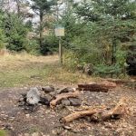 Briar Patch Campsite