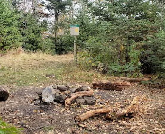 Briar Patch Campsite