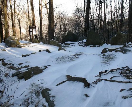 Profile Campsite
