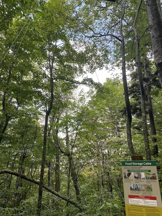 Profile Campsite 5