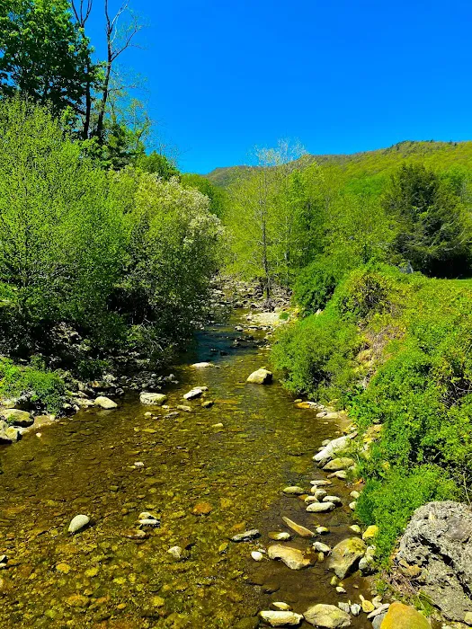Grandfather Campground 1