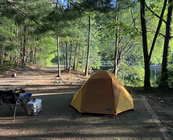 Catawba Area Walk-In Campground