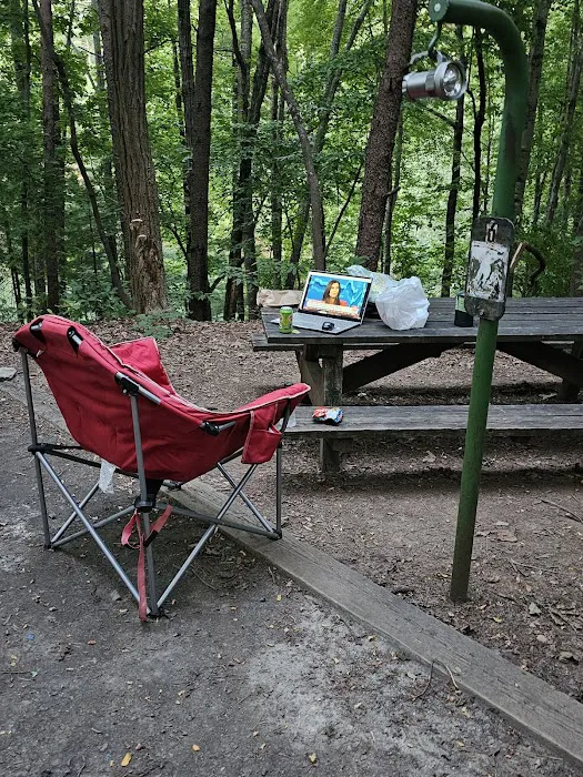 Catawba Area Walk-In Campground 2