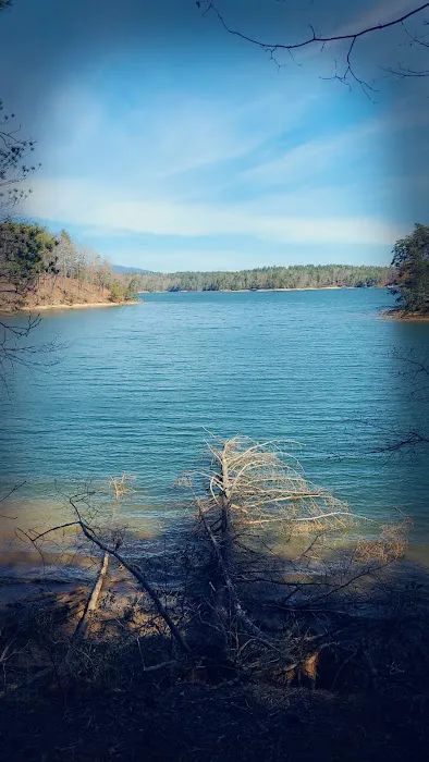 Catawba Area Walk-In Campground 5
