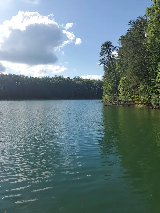 Catawba Area Walk-In Campground 8