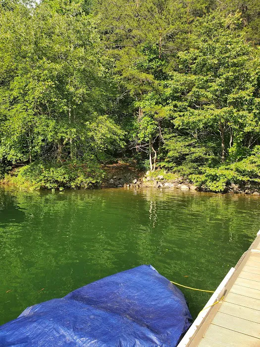 Catawba Area Walk-In Campground 6