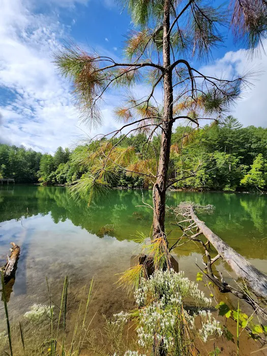 Lake James State Park Catawba River Access 3