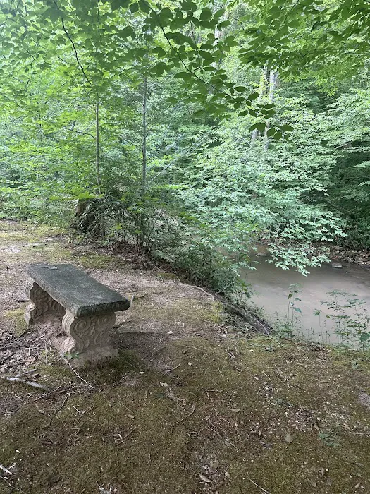 Lake James State Park Catawba River Access 9