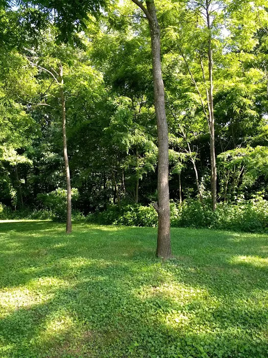 Mountain View Motorcycle Campground 5