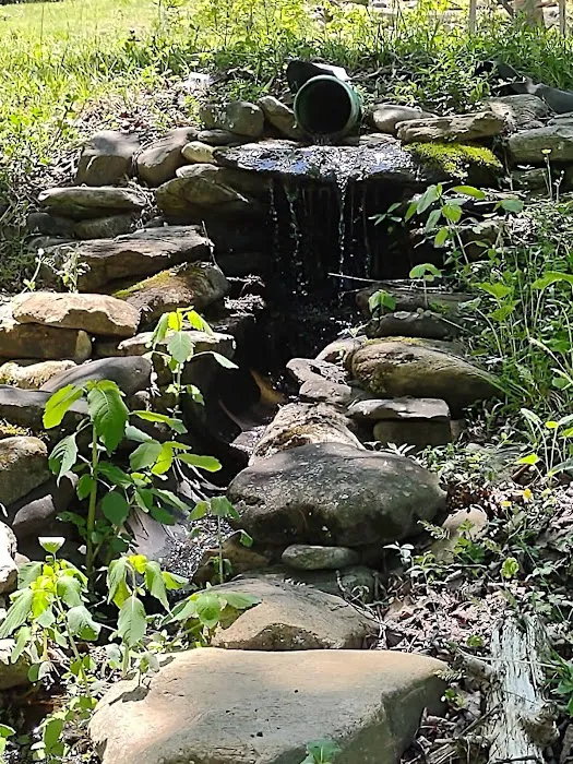 Yellow Mountain Campground 6