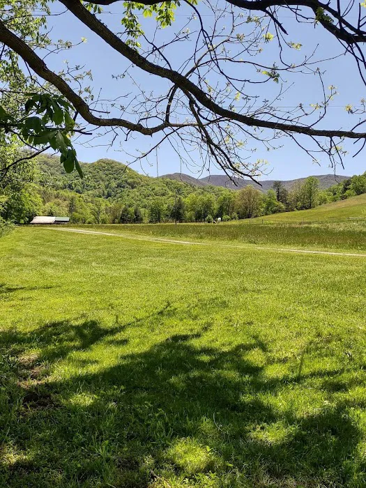 Yellow Mountain Campground 5