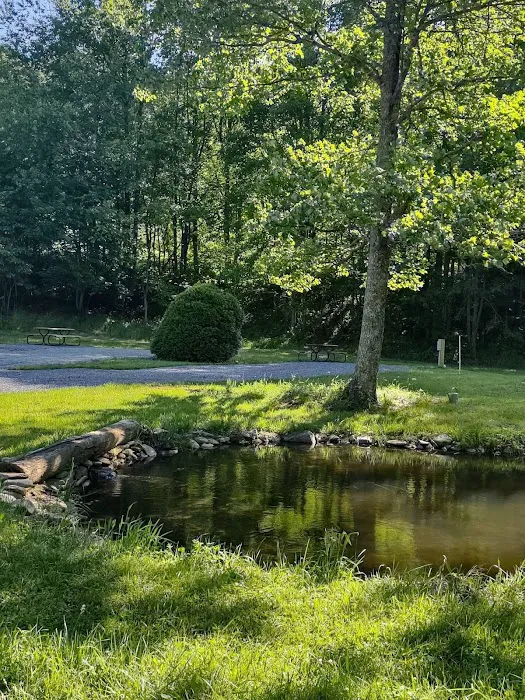 Yellow Mountain Campground 8