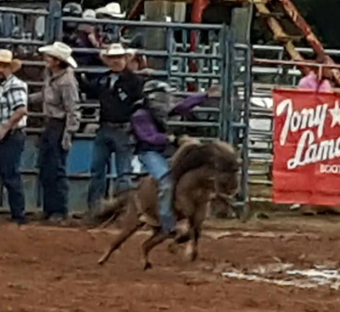 Tough Enough Rodeo and Campground 9