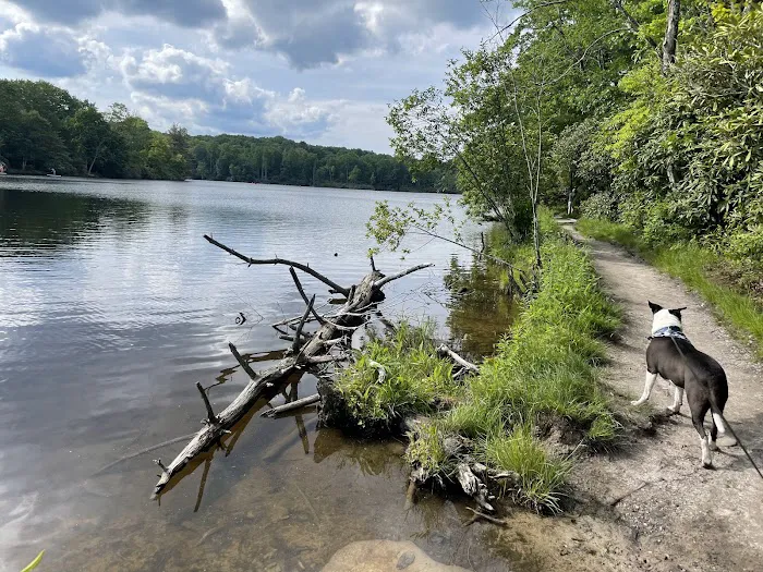 Julian Price Campground 2