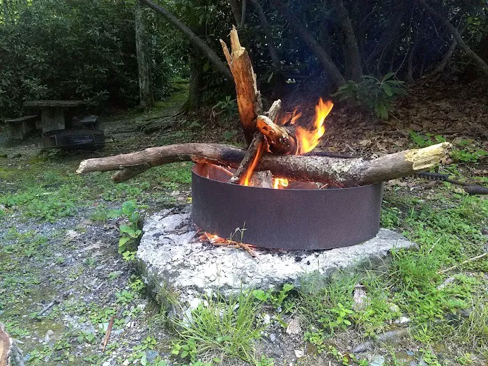 Julian Price Campground 4