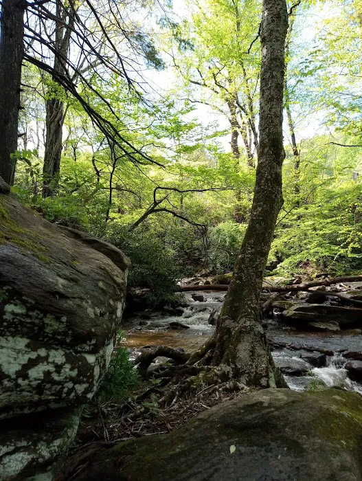 Flintlock Campground 2