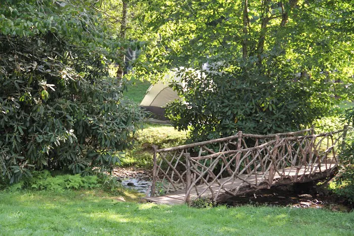 Honey Bear Campground 5