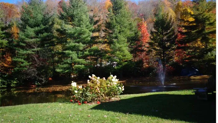 Honey Bear Campground 4