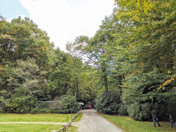 Honey Bear Campground 6