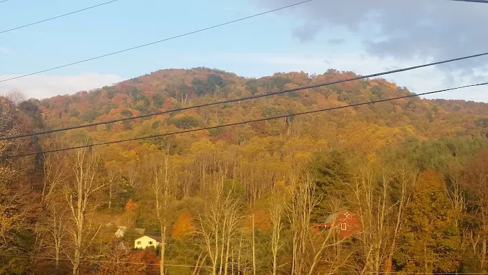 Vanderpool Campground 9