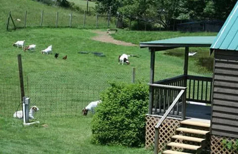 Boone KOA Holiday 6