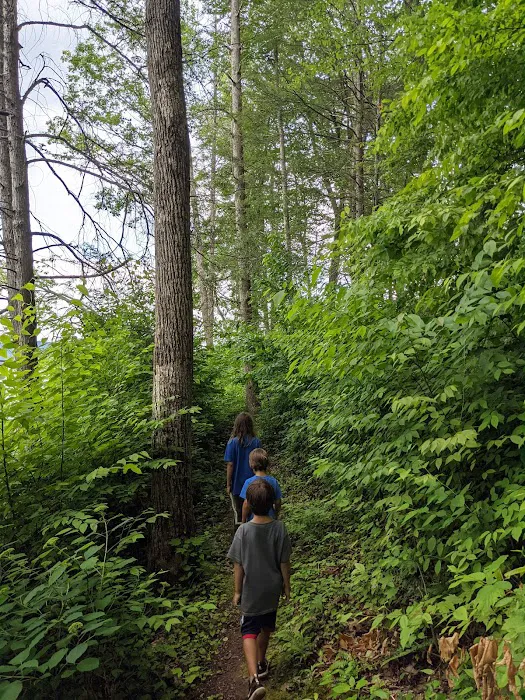 Cardens Bluff Campground 4