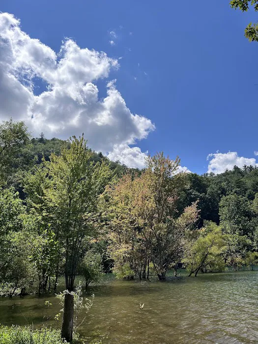 Little Stoney Creek Campground 4