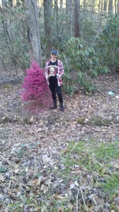 Little Stoney Creek Campground 7