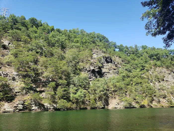 TVA Watauga Dam Tailwater Picnic Grounds 1