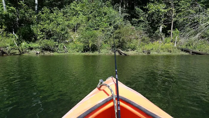 Watauga Dam Campground 6