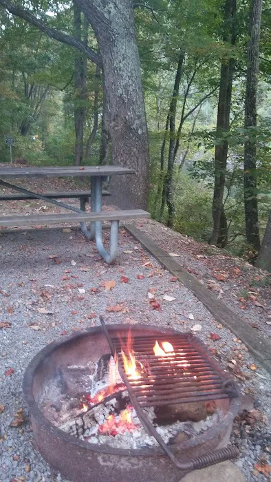 Watauga Dam Campground 8