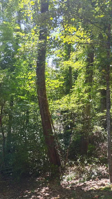 Little Pond Mountain Campground 6