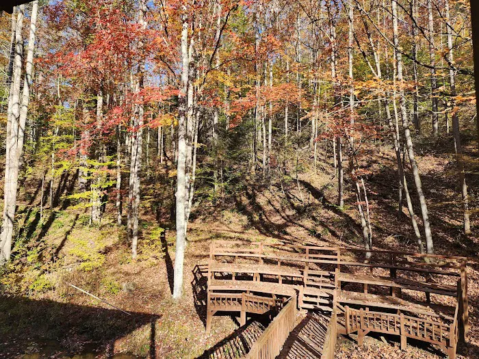 Black Bear Resort 6