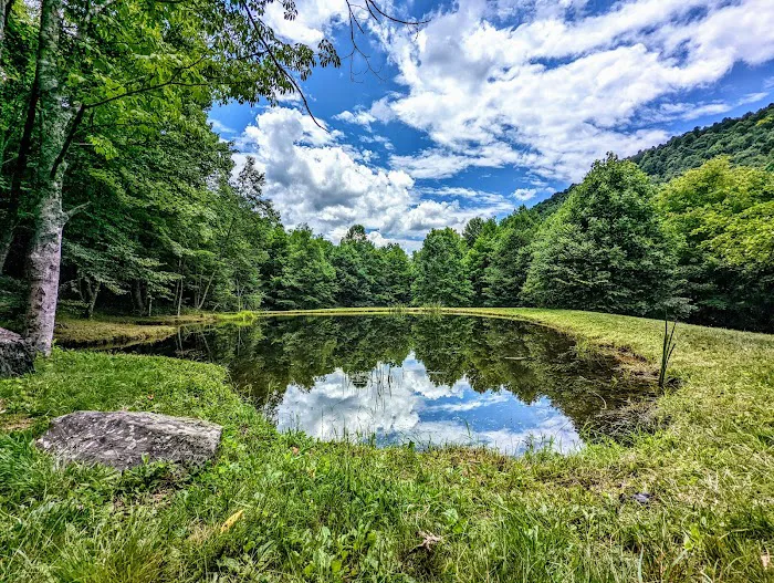Blue Bear Mountain 7