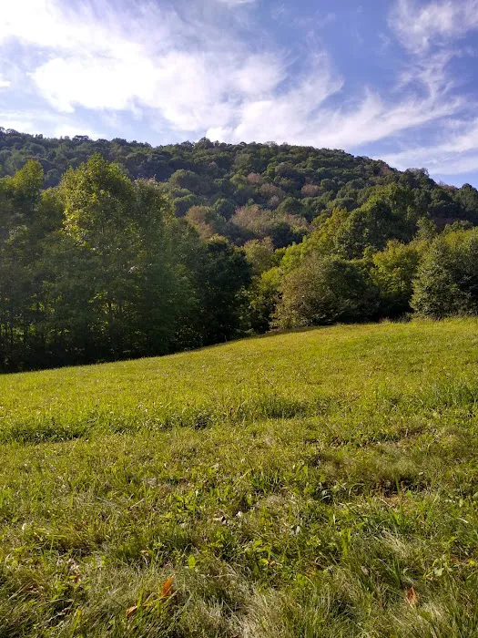 Blue Bear Mountain 5