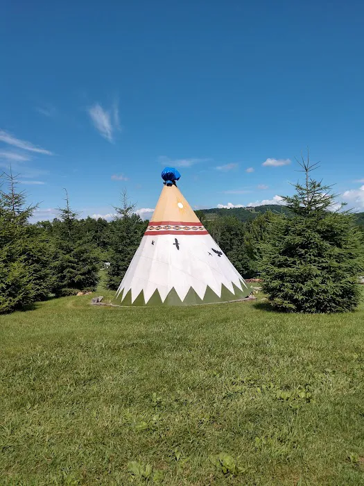 Blue Bear Mountain 9