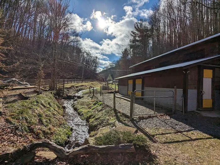Buttermilk Acres 8