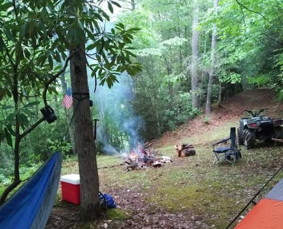 Backwoods Farm Campground
