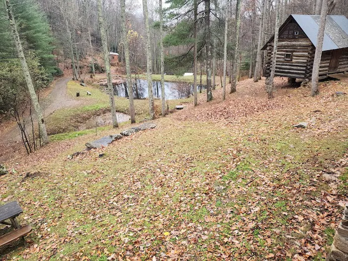 Pioneer Plunge 8