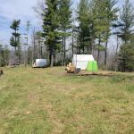 Persimmon Green - Camp Sites