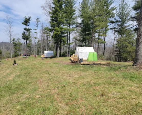 Persimmon Green - Camp Sites