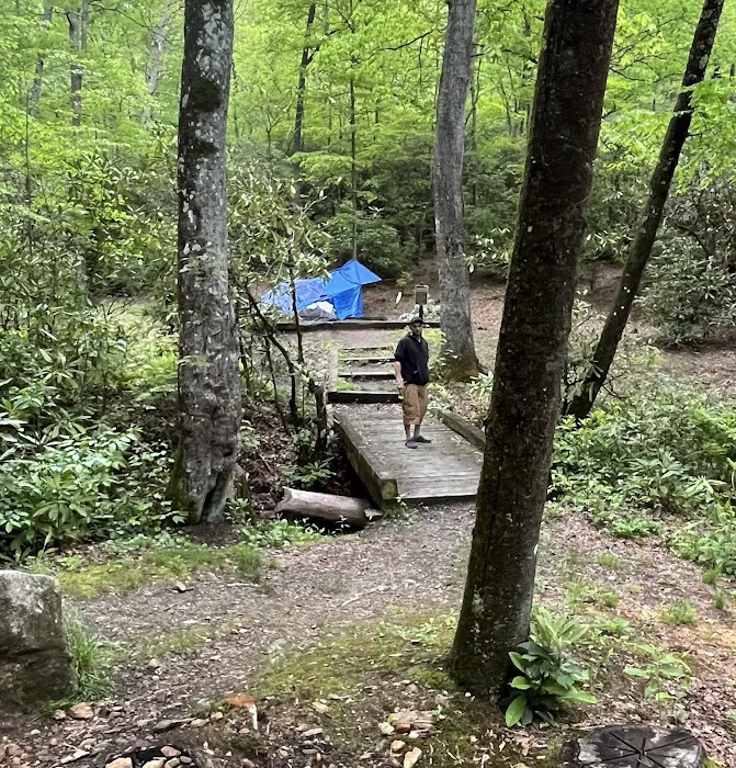 Wash Creek Campsite 0