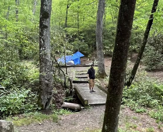 Wash Creek Campsite
