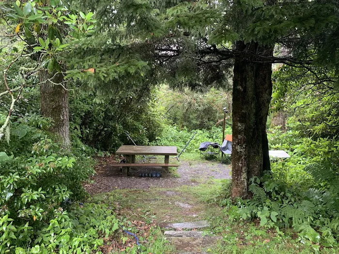 Mount Pisgah Campgrounds 3