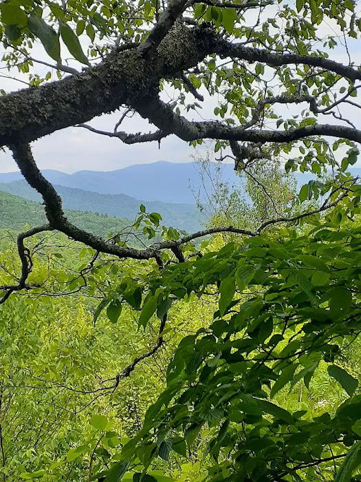 Mount Pisgah Campgrounds 4