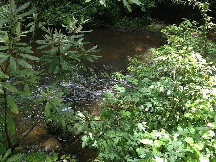 Mount Pisgah Campgrounds 9