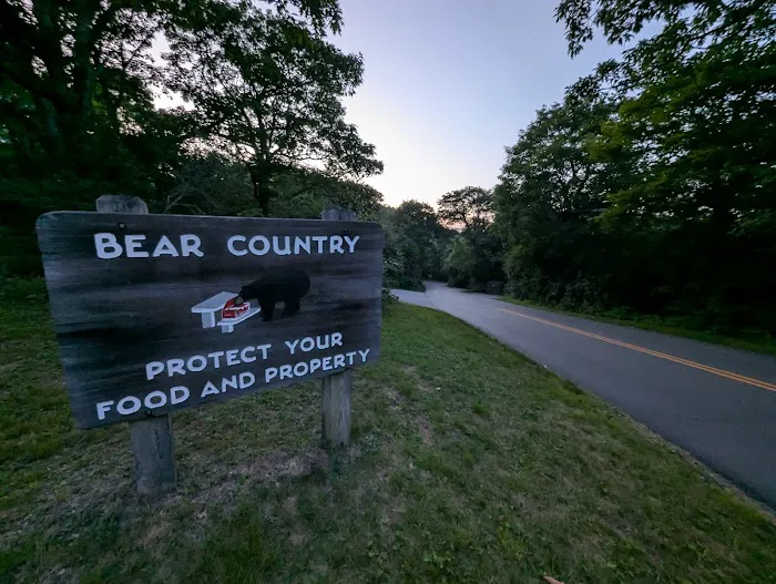 Mount Pisgah Campgrounds 8
