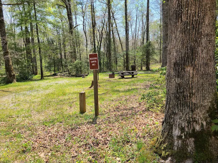 USFS Wolf Ford Horse Camp 2
